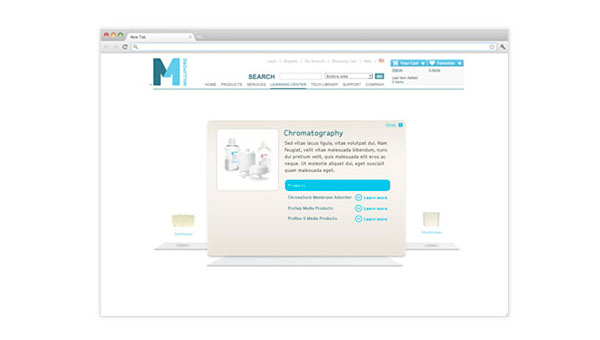 Chromatography Landing Page 3